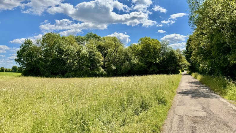 Feuchtgebiet Lochwiesen