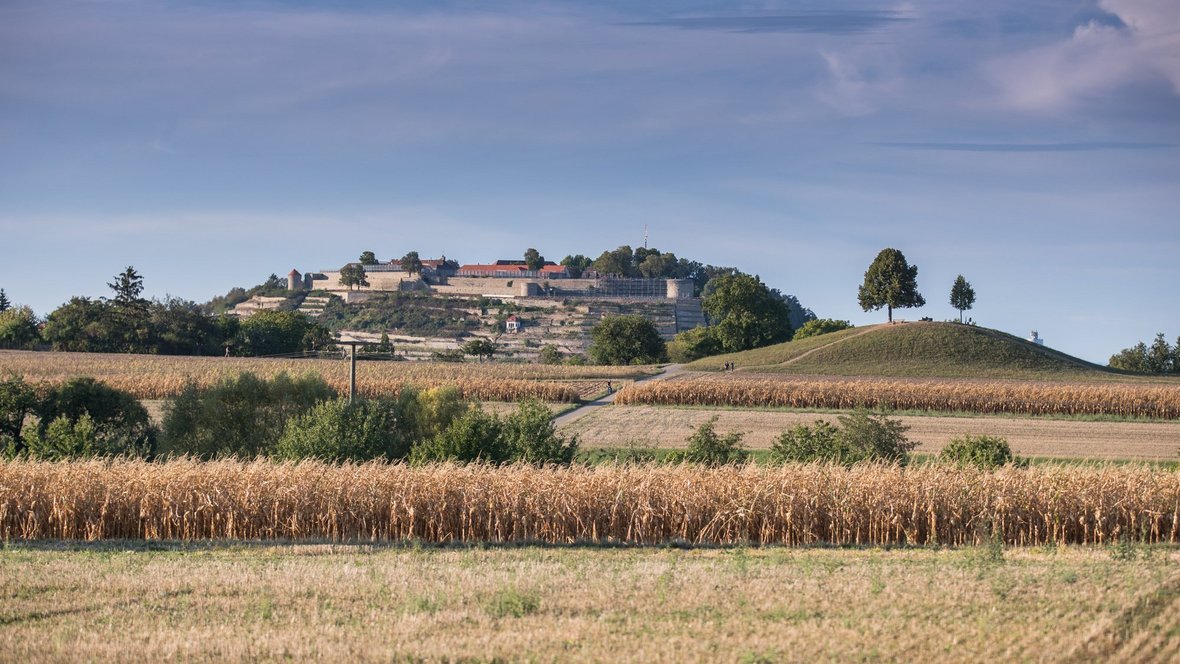 Hohenasperg im Hintergrund, davor das Kleinaspergle