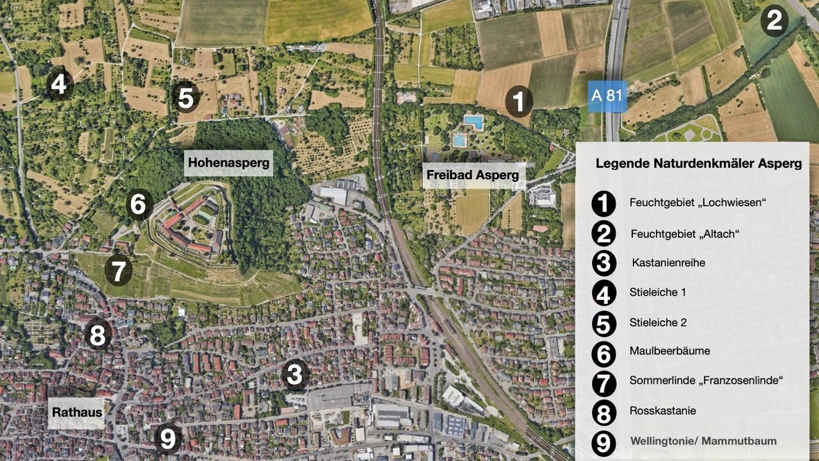 Lageplan der Asperger Naturdenkmäler